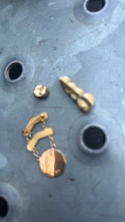 1 gold bridge 1 gold tooth and one gold brochure