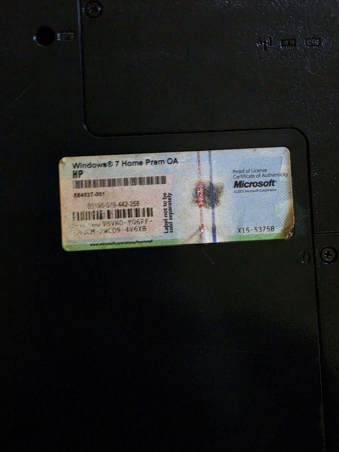 HP laptop