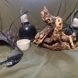 Reptiles Accessories 