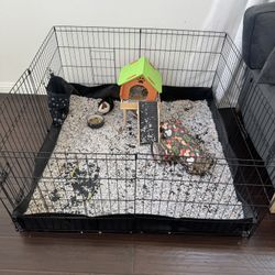 Guinea Pig Cage And Toys 