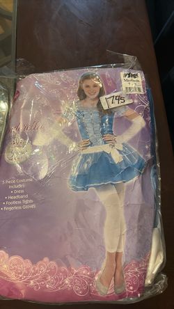 Cinderella costume