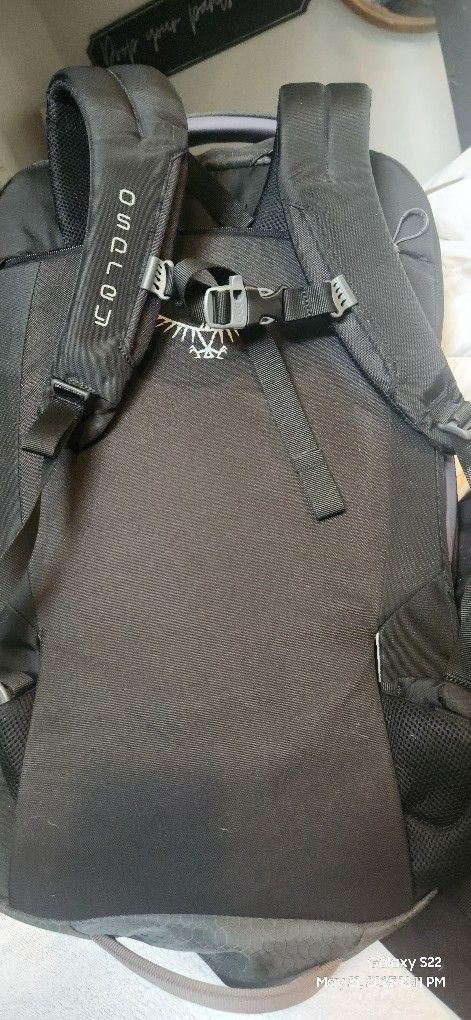 Osprey Travel Backpack