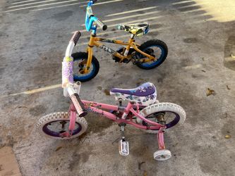 2 Bikes - 1 Boys & 1 Girls Bike