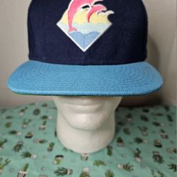 Pink Dolphin Clothing Blue On Blue Strapback Hat *EUC*
