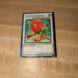 Yu-Gi-Oh Cards 