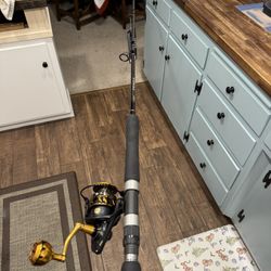 Shimano Terez/Penn Slammer IV Saltwater Fishing Combo