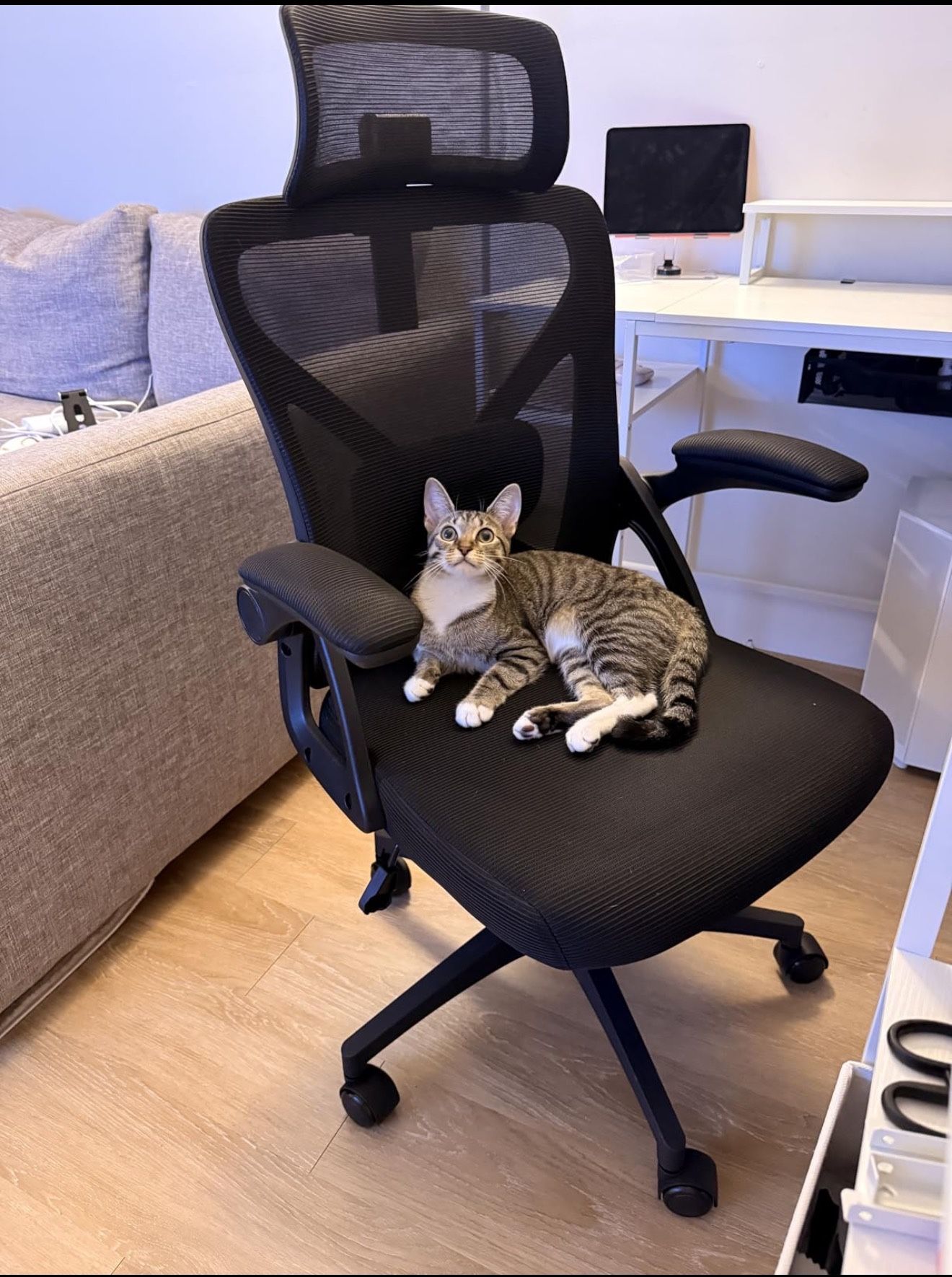 Office Chair,Ergonomic Desk Chair with Adjustable Lumbar Support,400 Lbs Mesh Computer Chair High Back with Headrest for Home Office (Black)