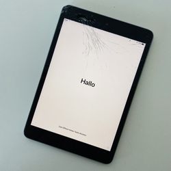 iPad Mini 2 Silver With Case