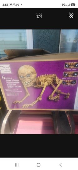 Halloween decorations