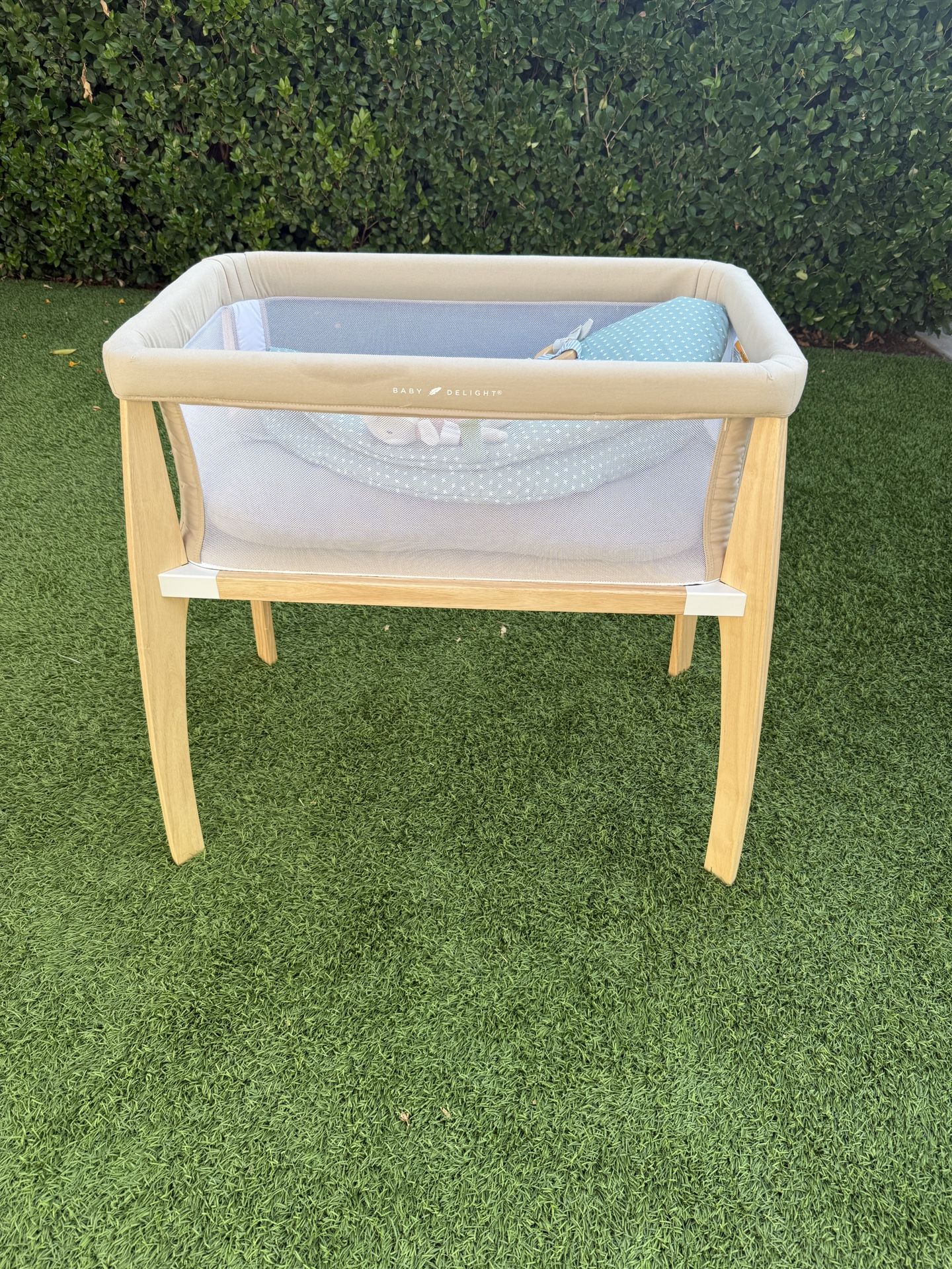 Baby Delight Bassinet And Snuggle Me