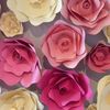 All_about_pink