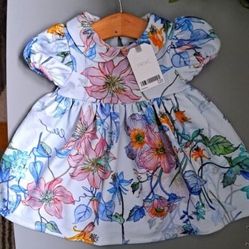 Baby Girl 3-6 Months BNWT NEXT Thick Beautiful Dress