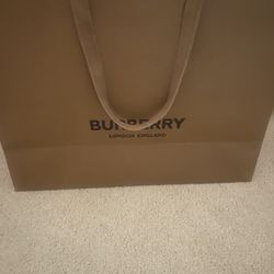 Burberry Bag 21x16