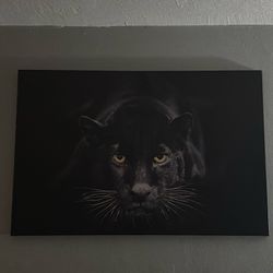 Black Panther Photo 