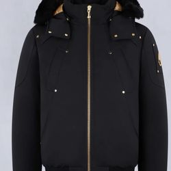 Moose knuckle Black/gold 