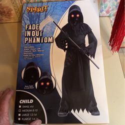 Halloween Spirit Fade In Out Phantom Medium 8-10