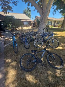 Bikes and bike parts sold together