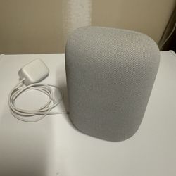 Google Nest Speaker