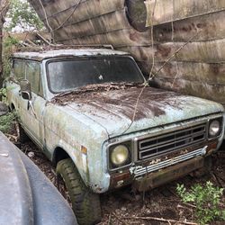 77 International Scout
