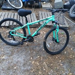 Shimano Basecamp Gravity Mountain Bike