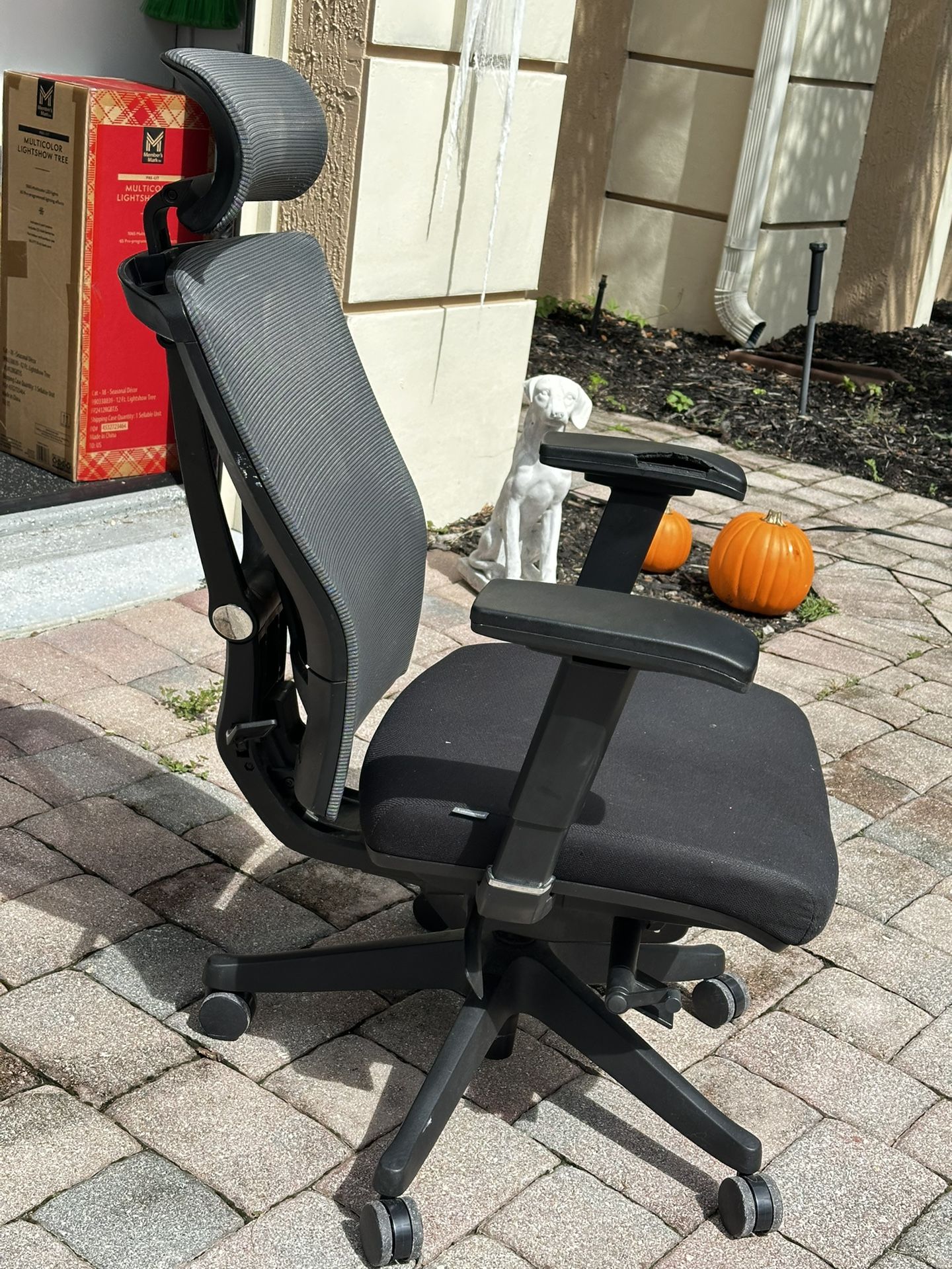 Autonomous ErgoChair Pro – Adjustable Office Chair