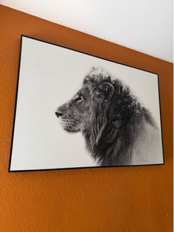 Large canvas