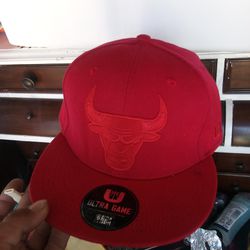 Brand Nee Chicago Bulls Hat 