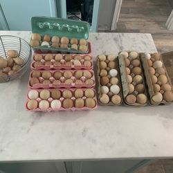 Eggs