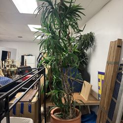 9ft faux plant