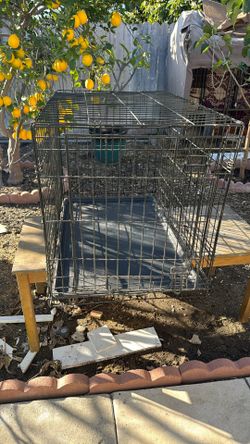 Dog Cage 36”X22X24
