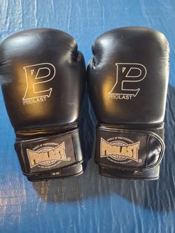 Prolast Training Gloves 