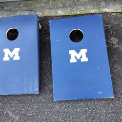 Corn Hole Boards 