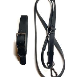 Wild One Dog Collar And Leash Set 