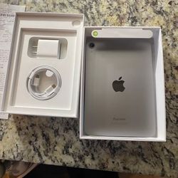Apple Ipad