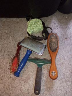 Dog grooming stuff