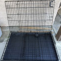 Foldable Metal Wire Dog Crate with Tray, Single Door, 42 x 28 x 30 in, Black