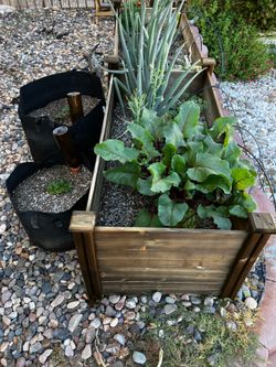 Planter Boxes and Gardening Tools & More