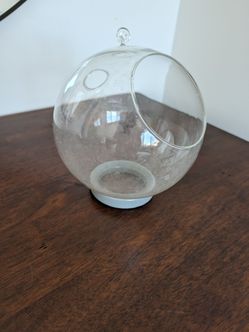 Glass terrarium