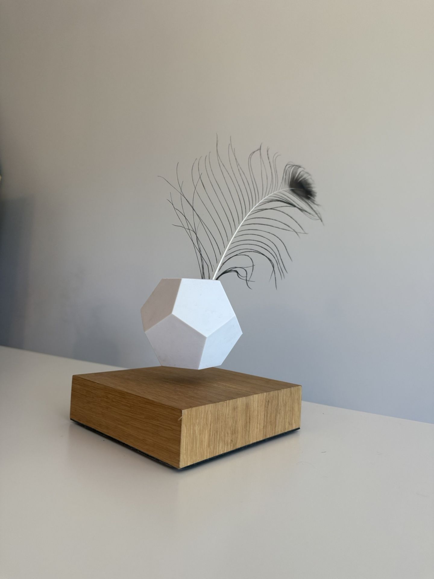 Floating Geometric Succulent Planter