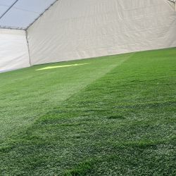 Turf 