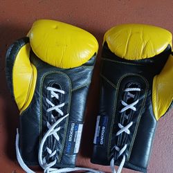 Boxing Professional 