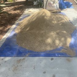 Free Desert Gold DG