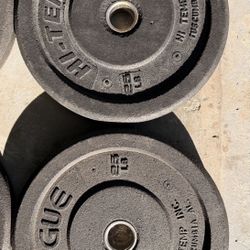 Pair Of 25 Pound Olympic Bumper Plates