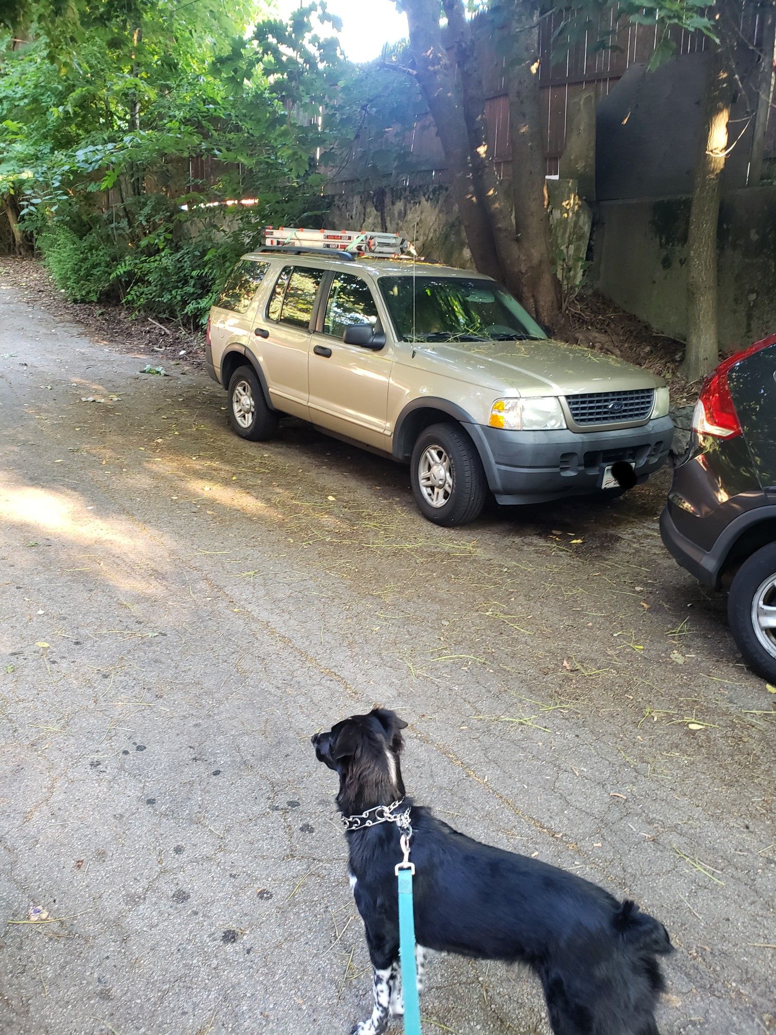 2003 Ford Explorer XLS