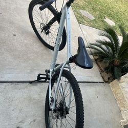 Brand New Schwinn