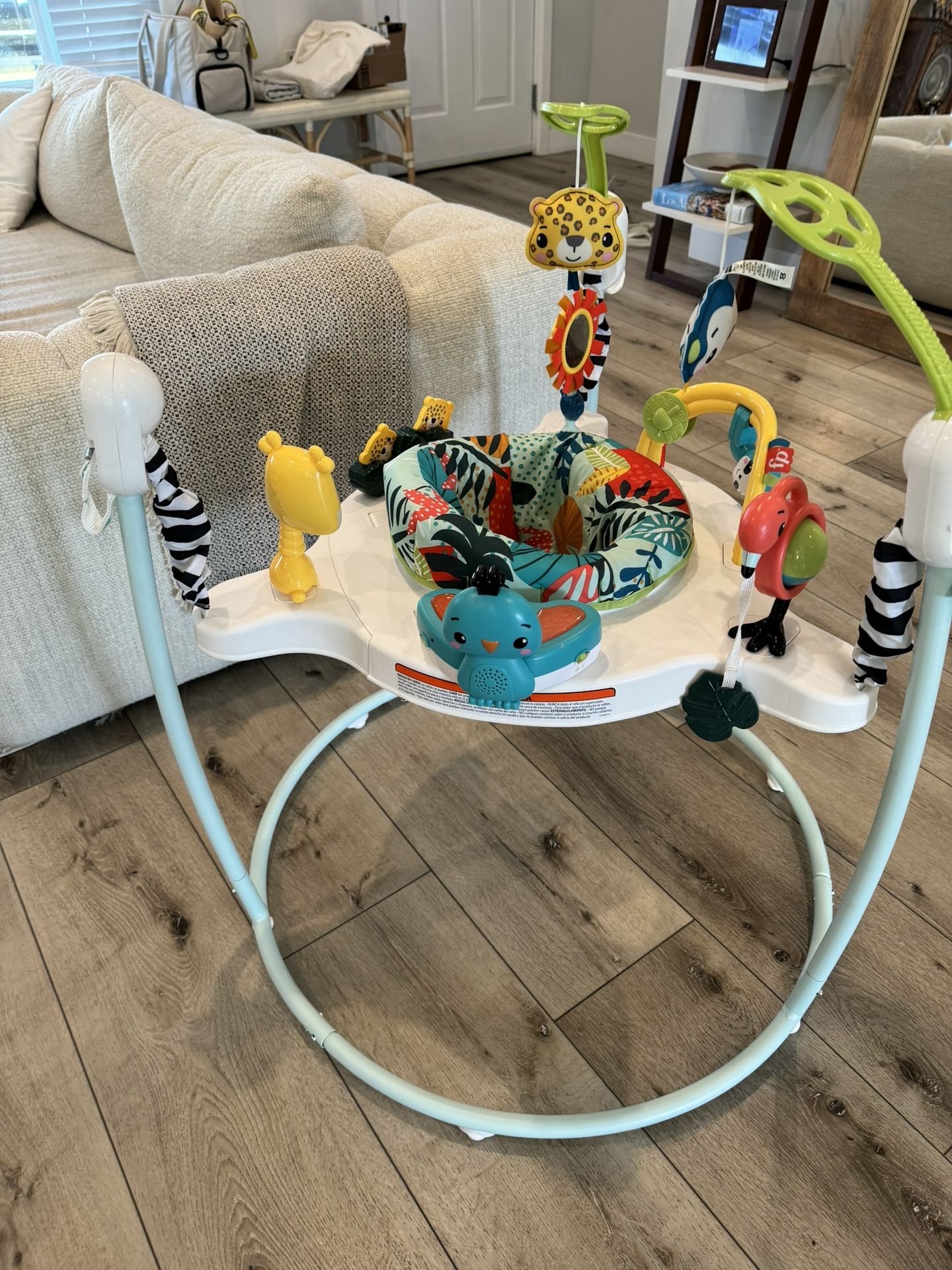 Fisher Price Baby Jumper