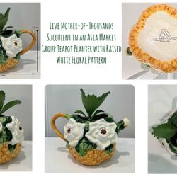 Live Mother-of-Thousands Succulent in Asia Market Group Teapot Planter w Raised White Floral Pattern