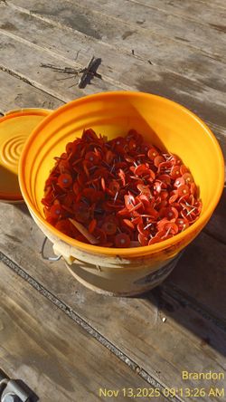 Bucket Of Roof Nails 30.00 