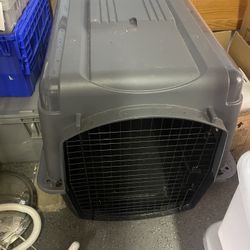 petsmart lg dog crate