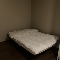 Bed frame and mattress